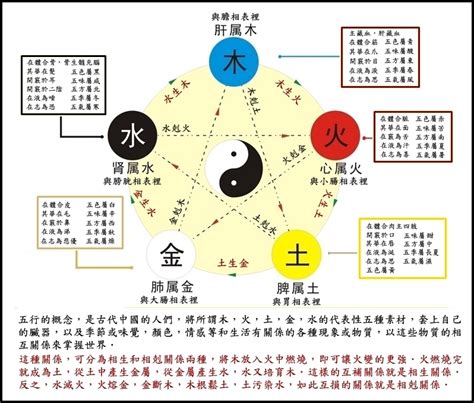 剋金|五行相剋是什麼？五行平衡與補救秘訣完整教學 